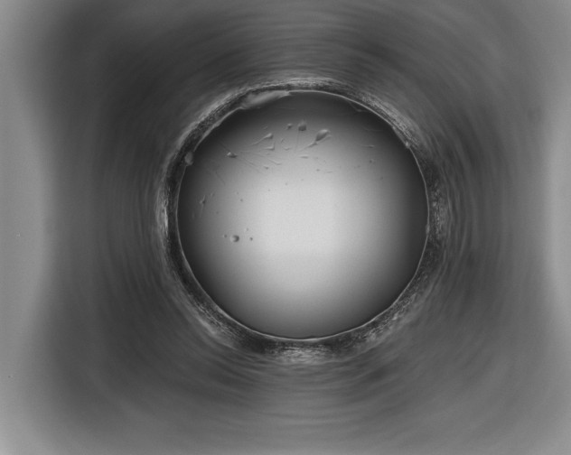 X0000116850350200912221123