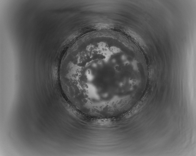 X0000116850353200912221123