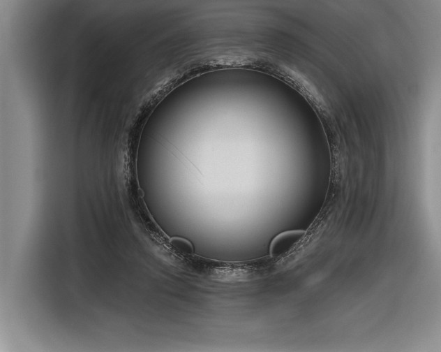 X0000116850354200912221123