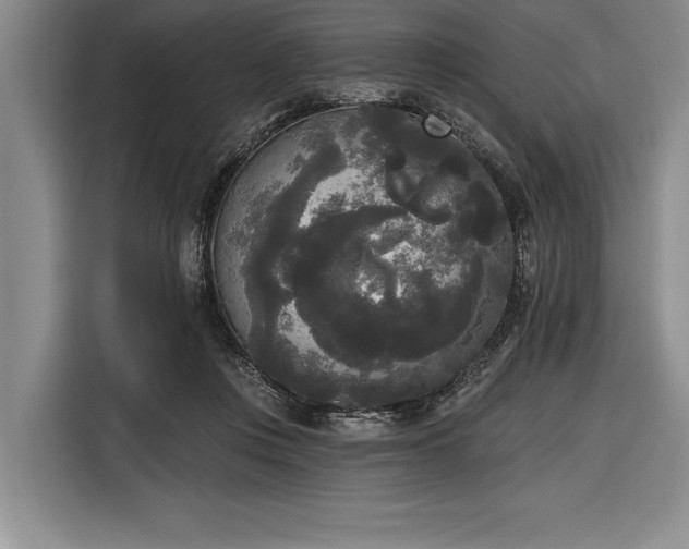 X0000116850359200912221123