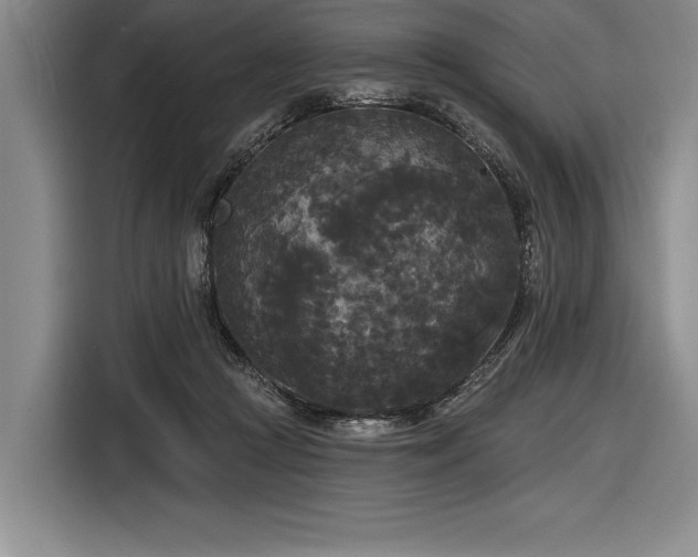 X0000116850361200912221123