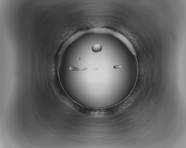 X0000116850362200912221123