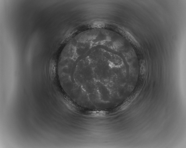 X0000116850363200912221123