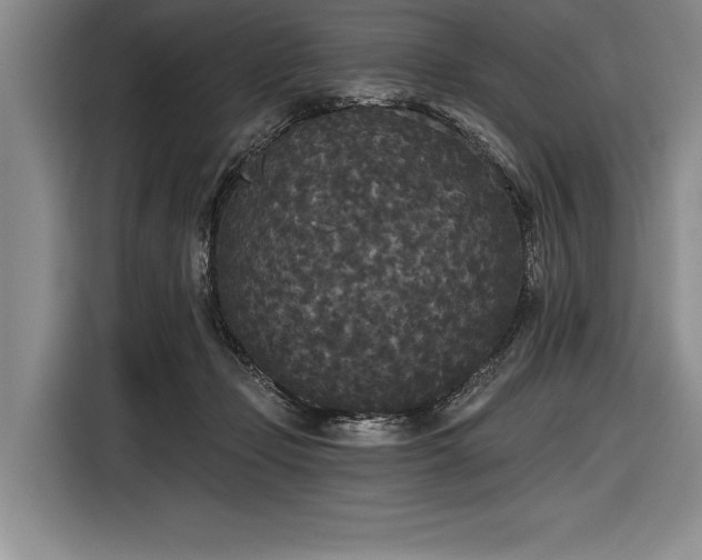 X0000116850365200912221123