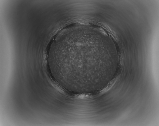 X0000116850366200912221123