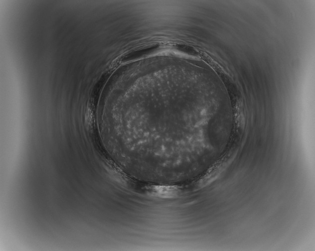 X0000116850371200912221123