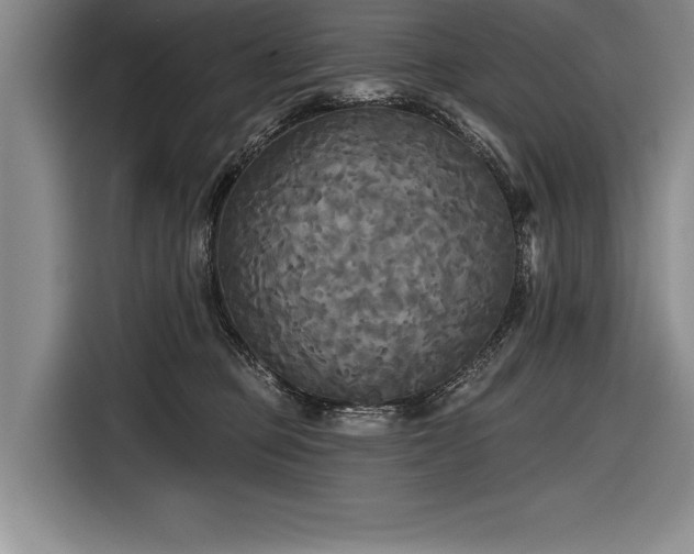 X0000116850373200912221123