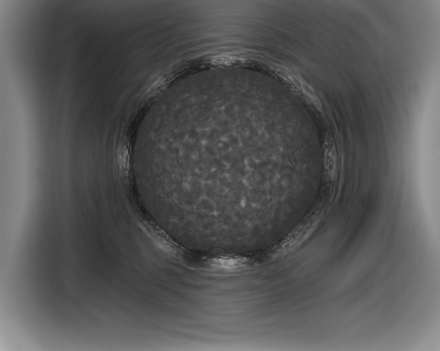 X0000116850375200912221123
