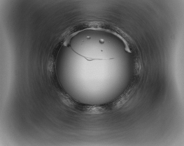 X0000116850379200912221123