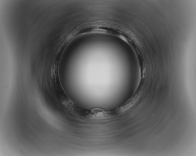 X0000116850382200912221123