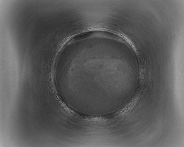 X0000116850385200912221123