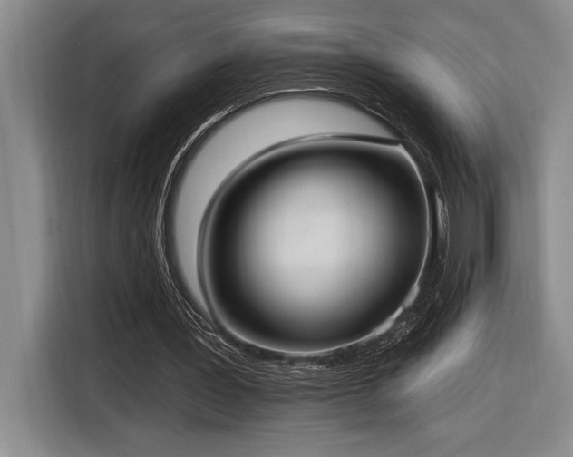 X0000116850387200912221123