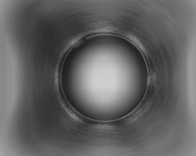 X0000116850389200912221123