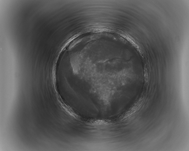 X0000116850390200912221123