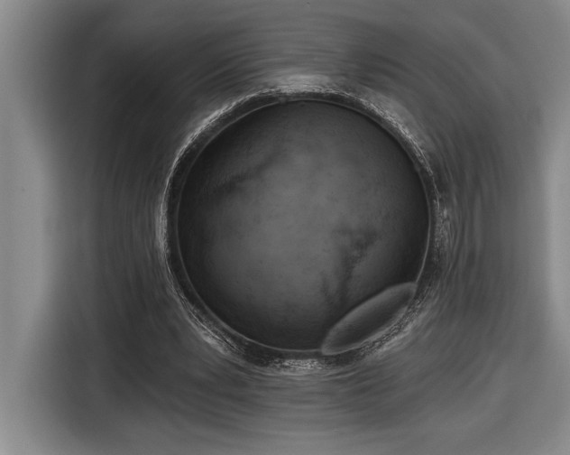X0000116850391200912221123