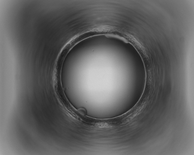 X0000116850392200912221123