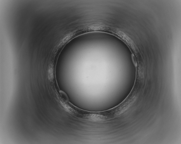 X0000116850393200912221123