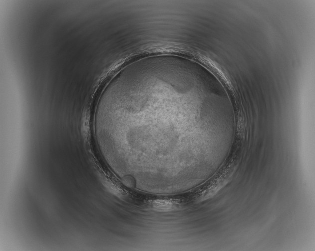 X0000116850394200912221123