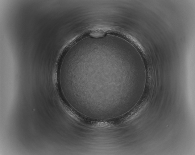 X0000116850399200912221123