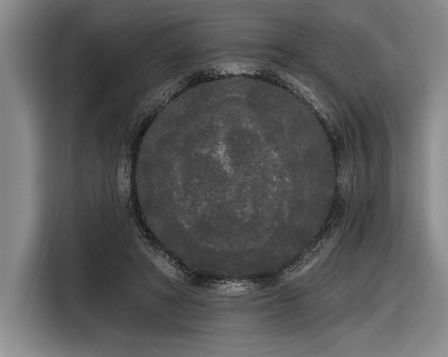X0000116850402200912221123