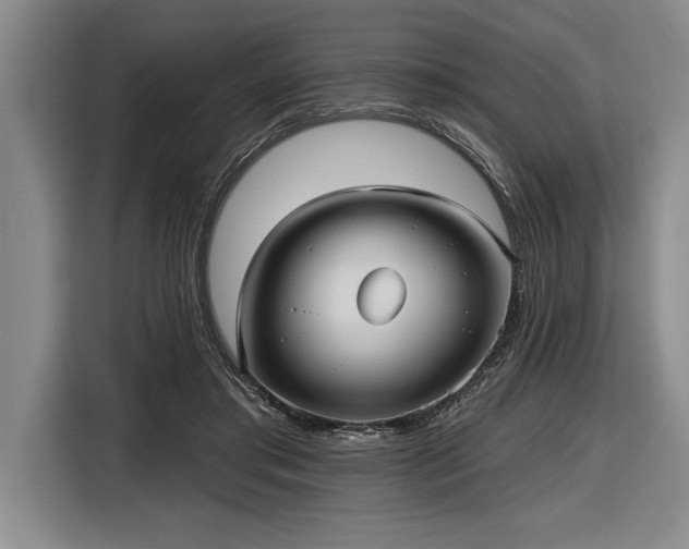 X0000116850405200912221123