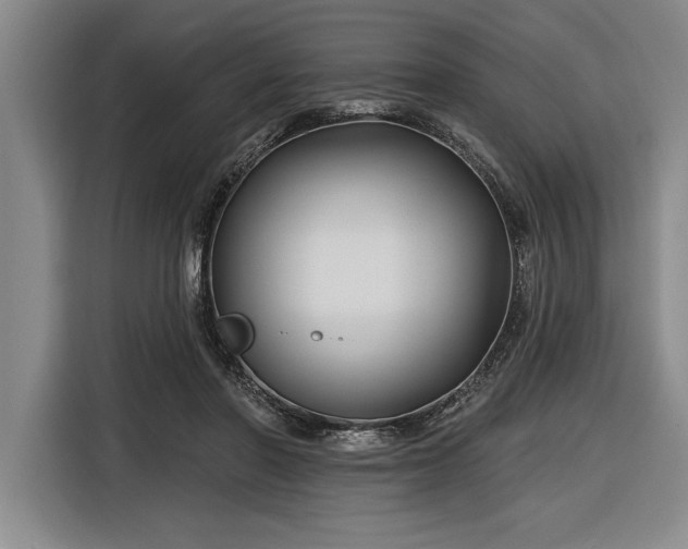 X0000116850406200912221123