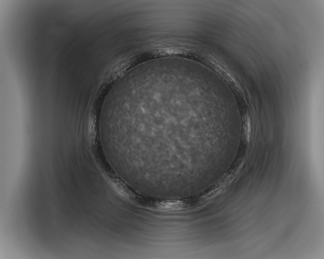 X0000116850410200912221123