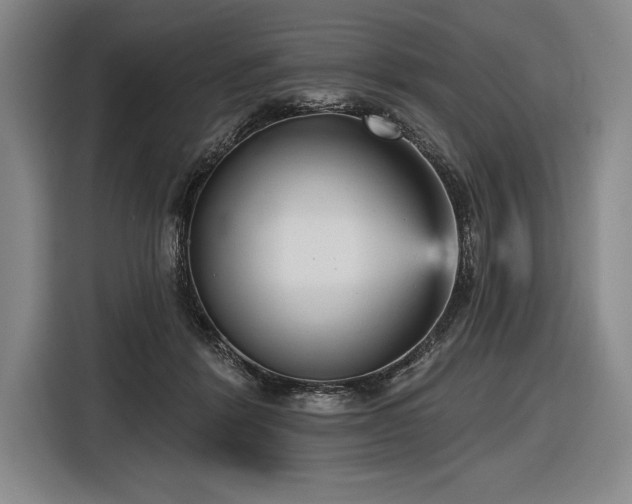 X0000116850412200912221123