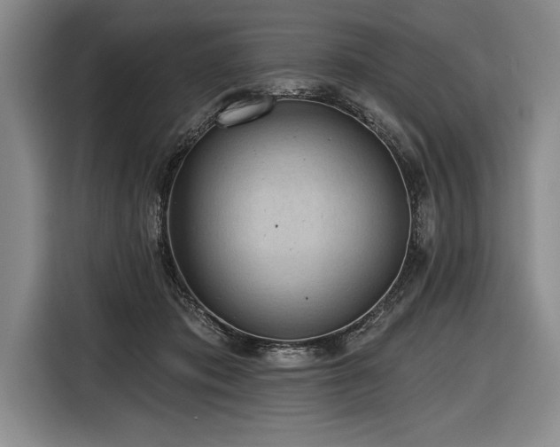 X0000116850413200912221123