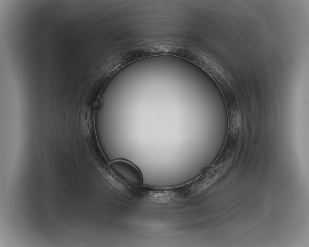 X0000116850414200912221123