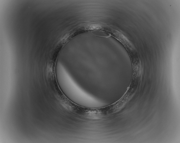 X0000116850415200912221123
