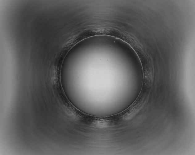 X0000116850416200912221122