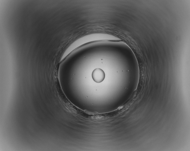 X0000116850419200912221122