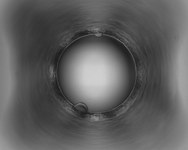 X0000116850420200912221122