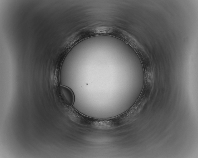 X0000116850422200912221122