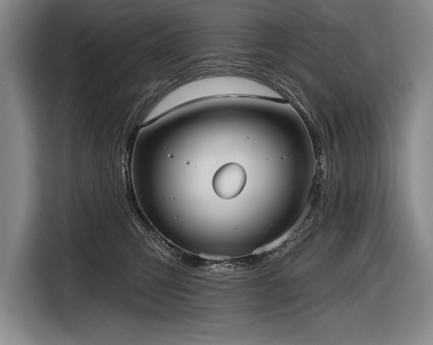 X0000116850423200912221122