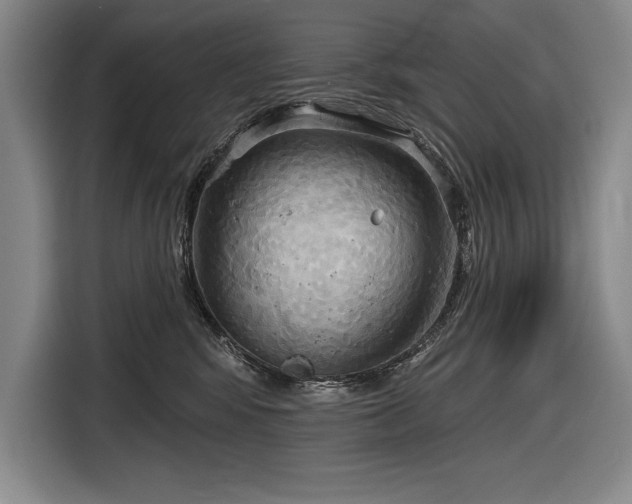 X0000116850424200912221122