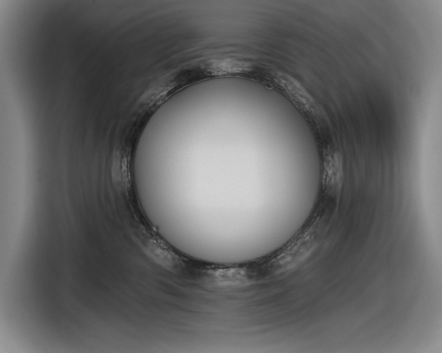 X0000116850426200912221122