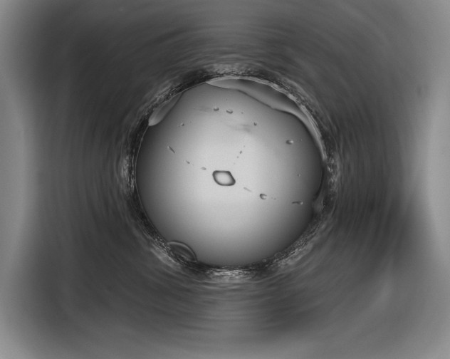 X0000116850428200912221122