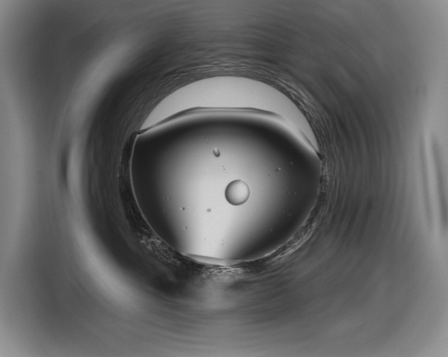 X0000116850429200912221122