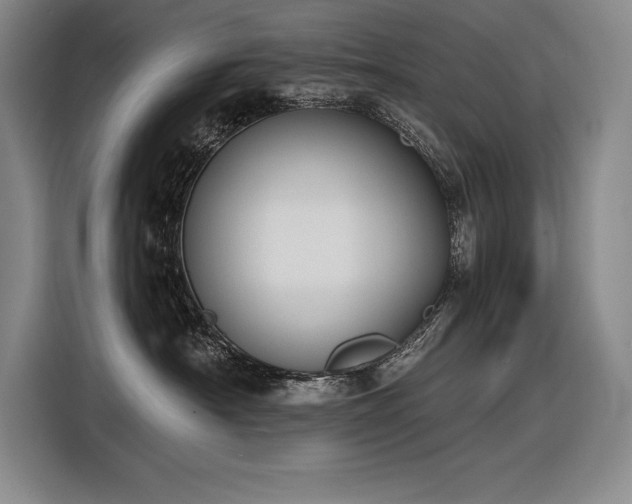 X0000116850430200912221122
