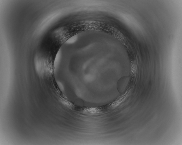 X0000116850431200912221122