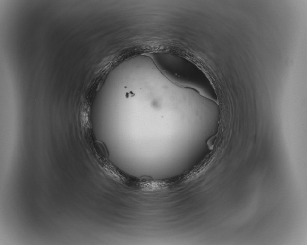 X0000116850432200912221122