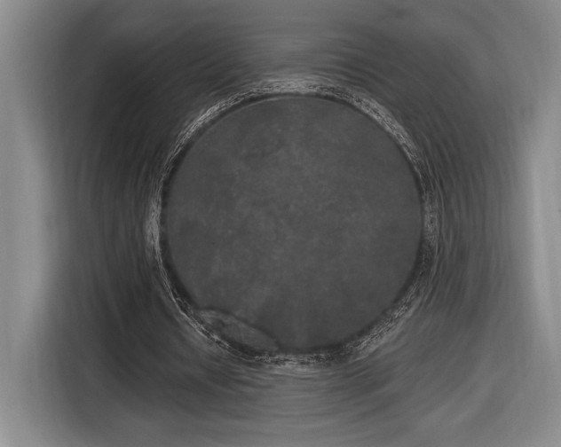 X0000116850434200912221122