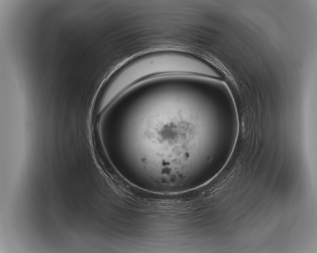 X0000116850436200912221122