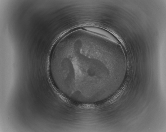 X0000116850437200912221122