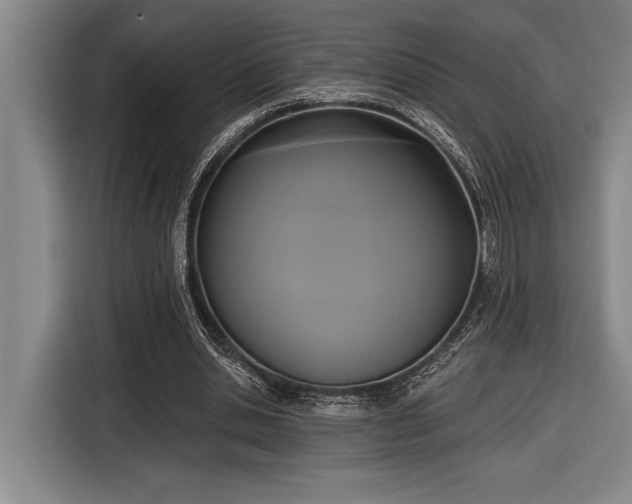 X0000116850438200912221122
