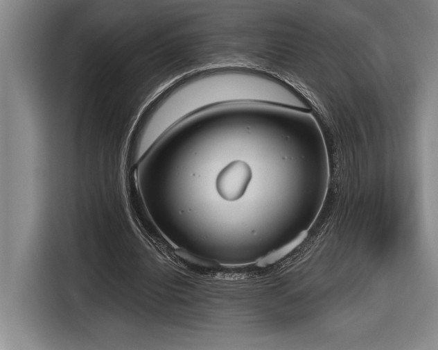 X0000116850440200912221122