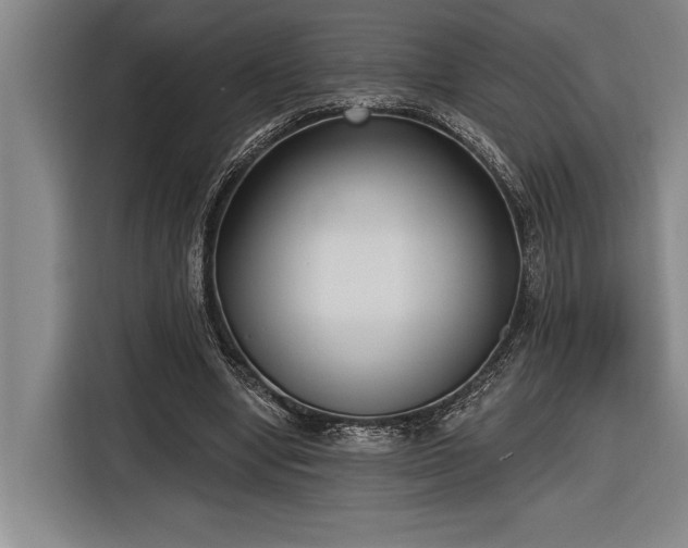 X0000116850442200912221122