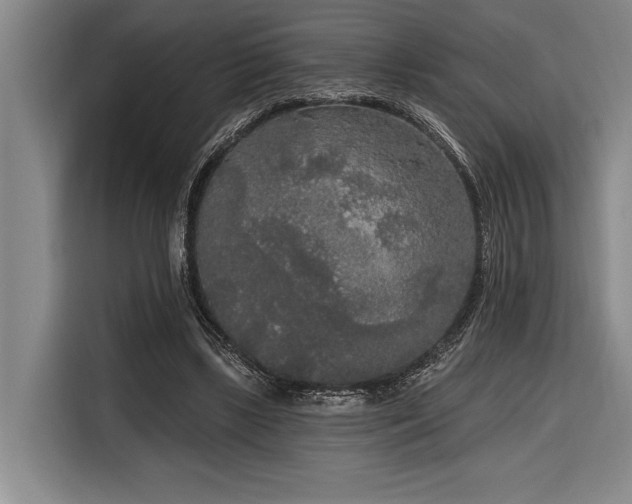 X0000116850443200912221122
